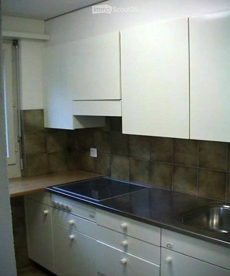 Ideale 2.5 Zimmer Single Wohnung (1)