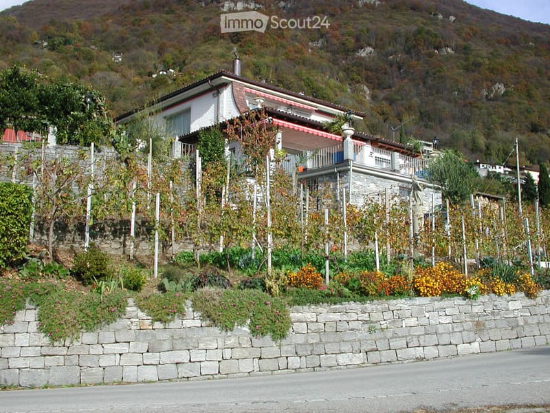 Zu Vermieten in Cugnasco Tessin79669 Ferienwohnung. (1)