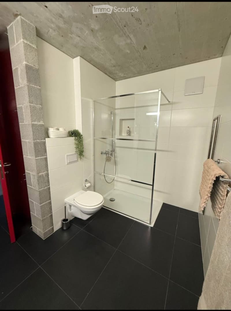 5.5 LOCALI CON GIARDINO PRIVATO E TERRAZZO CAMORINO (4)