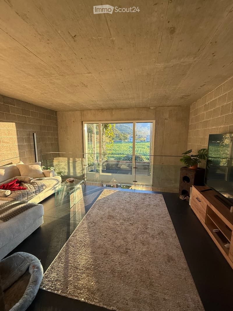 5.5 LOCALI CON GIARDINO PRIVATO E TERRAZZO CAMORINO (5)