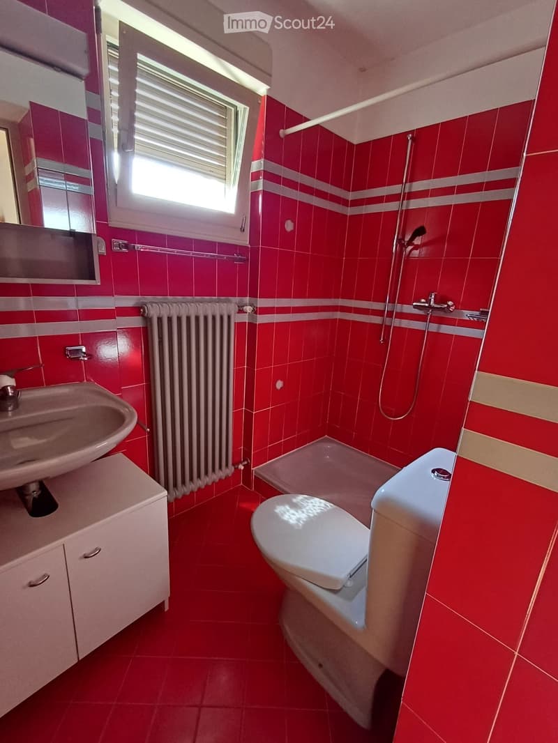 Grande 4,5 con giardino ideale per famiglia (5)