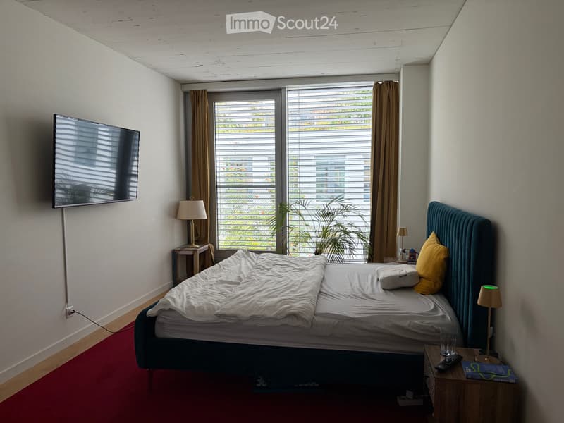 Traum 4.5-Zimmer Wohnung mitten in Winterthur Kautionsfrei (5)