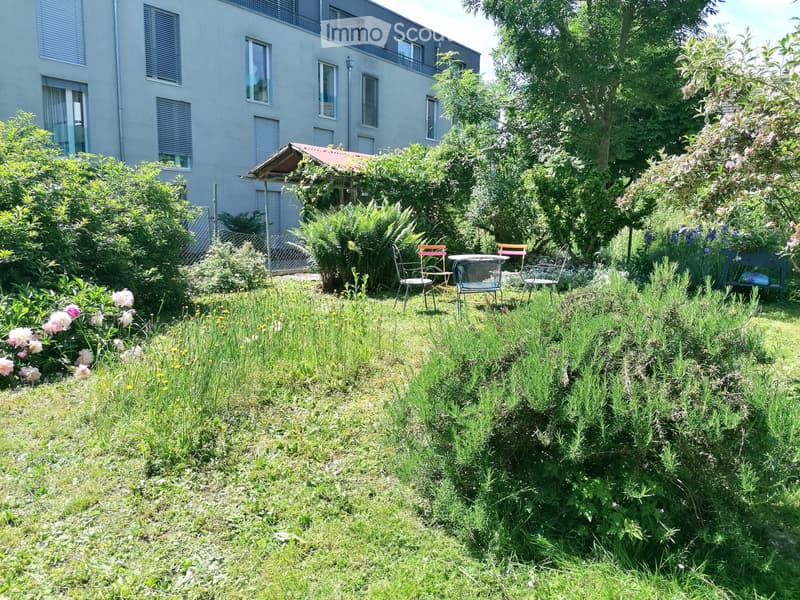 2 Zimmerwohnung in Erlach (5)