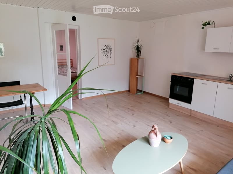 2 Zimmerwohnung in Erlach (4)
