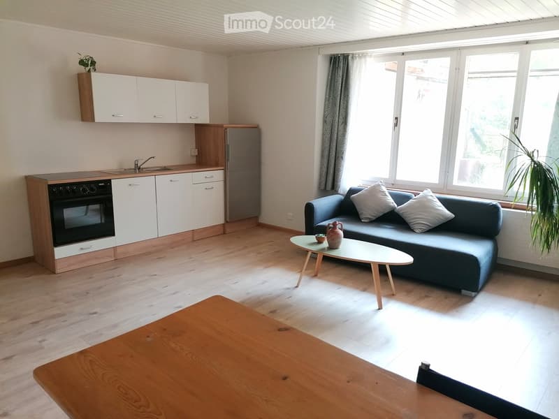 2 Zimmerwohnung in Erlach (1)