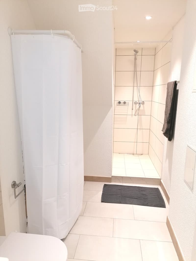 2 Zimmerwohnung in Erlach (2)