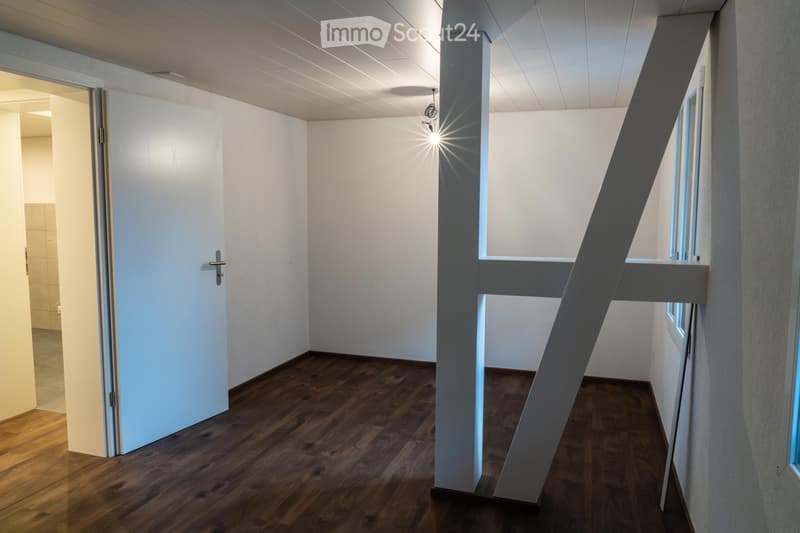 Renovierte, grosszügige 3,5 Zimmerwohnung an ruhiger Lage (3)