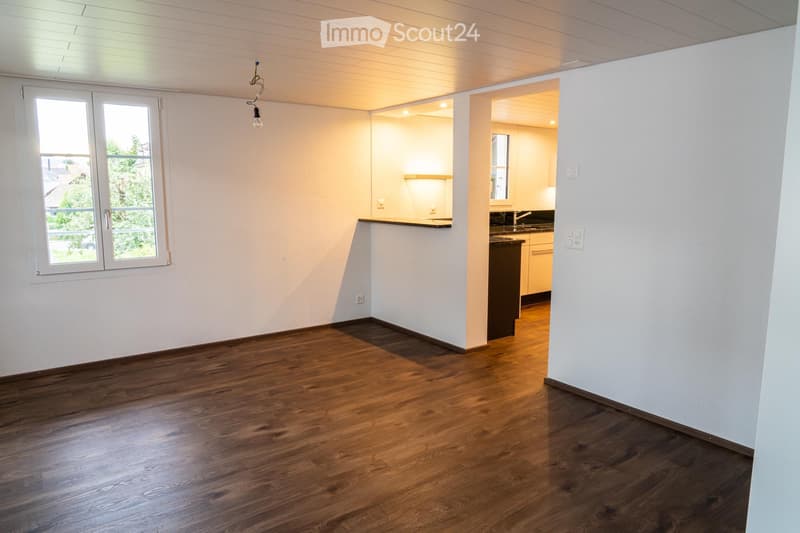 Renovierte, grosszügige 3,5 Zimmerwohnung an ruhiger Lage (1)