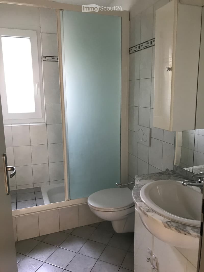 Appartamento 4.5 locali (3)