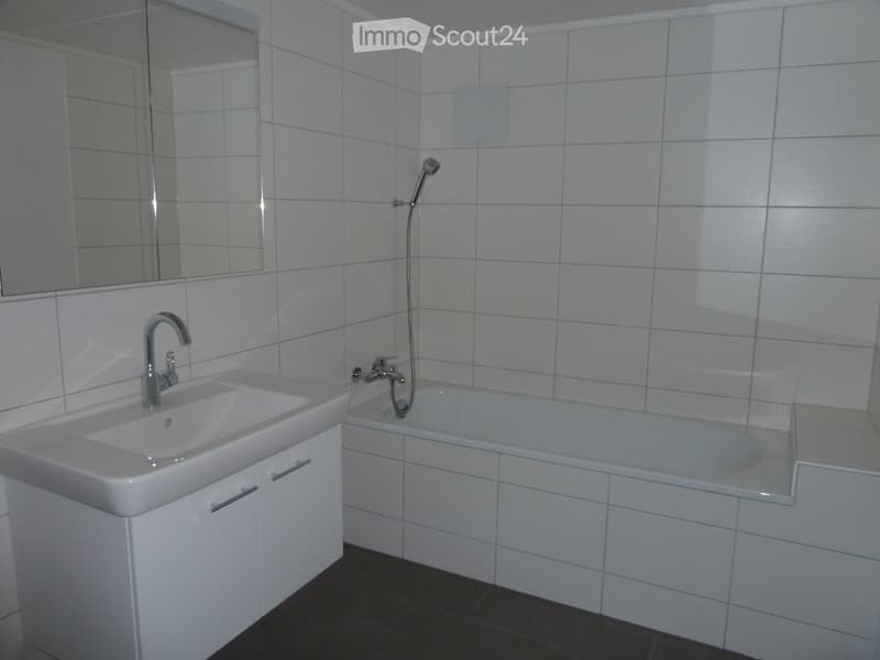 Zu vermieten 3.5 Zimmer-Wohnung (4)