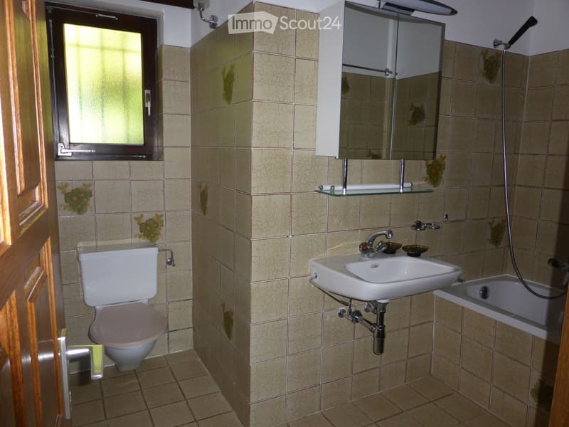 Appartamento 4 1/2 Ronco s/Ascona (5)