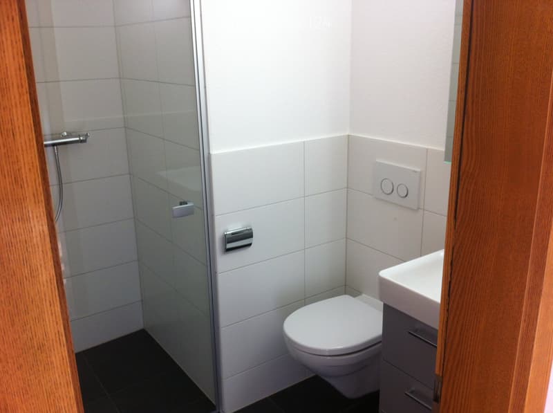 Moderne, sanierte 2-Zimmer-Wohnung an zentraler Lage in Brig (2)
