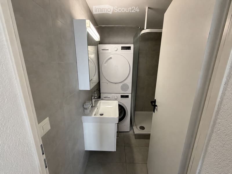 2.5-Zimmer-Wohnung mit grosser Terasse (5)