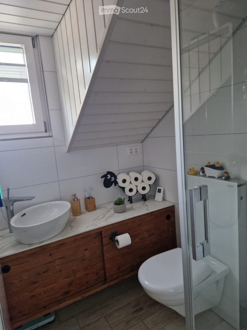 Schöne Dachwohnung (3)