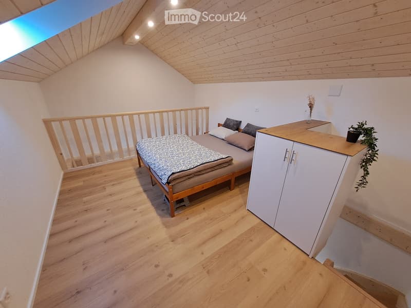 Neues Tiny House (2)