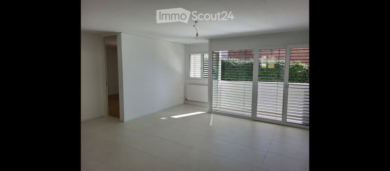 Cercasi subentrante - 4.5 locali (4)