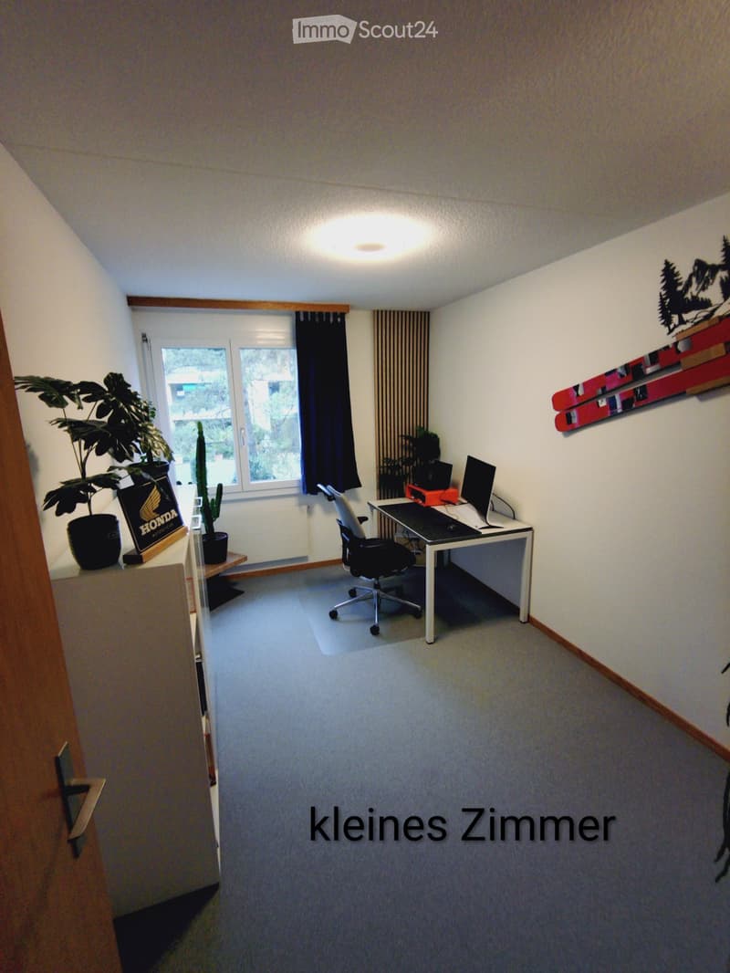 3,5 Zimmer Wohnung in Winterthur (4)