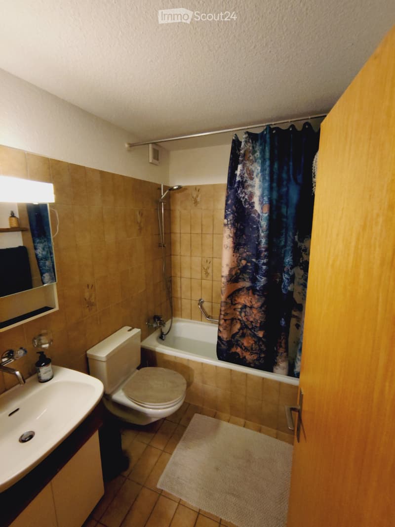 3,5 Zimmer Wohnung in Winterthur (5)