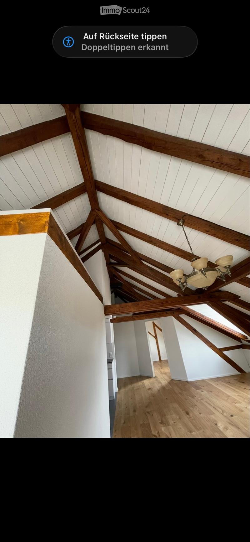 4 1/2 Zimmer Dachwohnung (2 OG) (1)