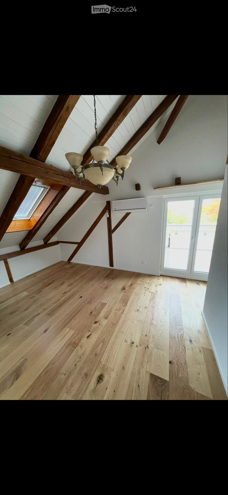 4 1/2 Zimmer Dachwohnung (2 OG) (2)