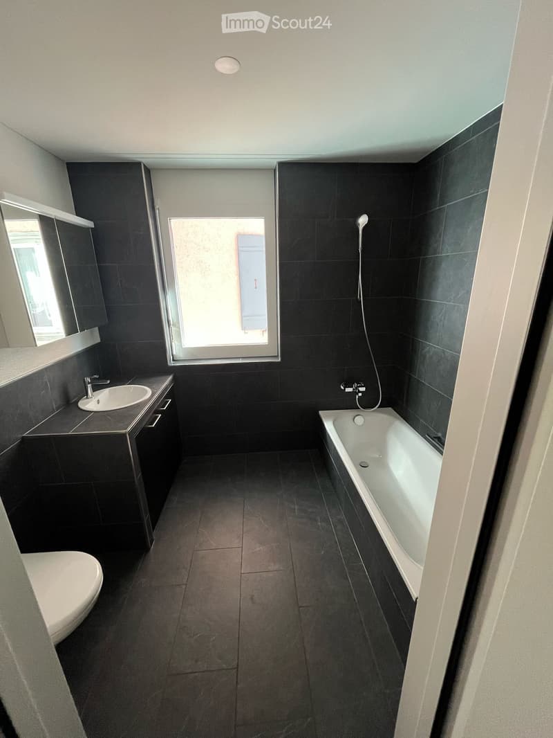 Moderne 4.5 Zimmer Wohnung in zentraler Lage (2)