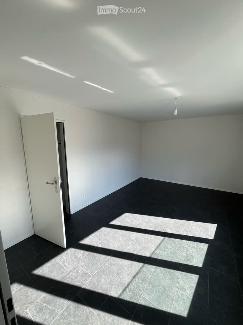 Moderne 4.5 Zimmer Wohnung in zentraler Lage (5)