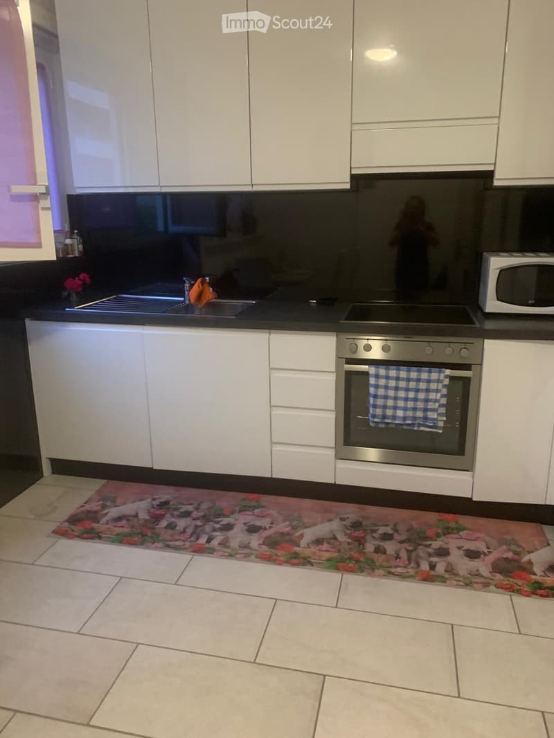 Appartamento Vezia 3.5 (4)
