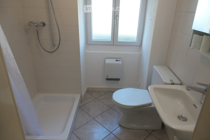 Bell'appartamento in zona accessibile ai servizi (4)