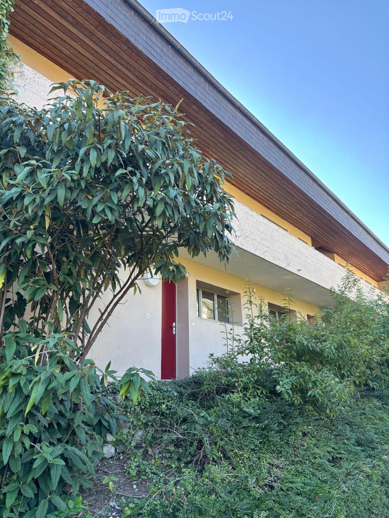 3Zimmerwohnung zu vermieten per sofort (1)