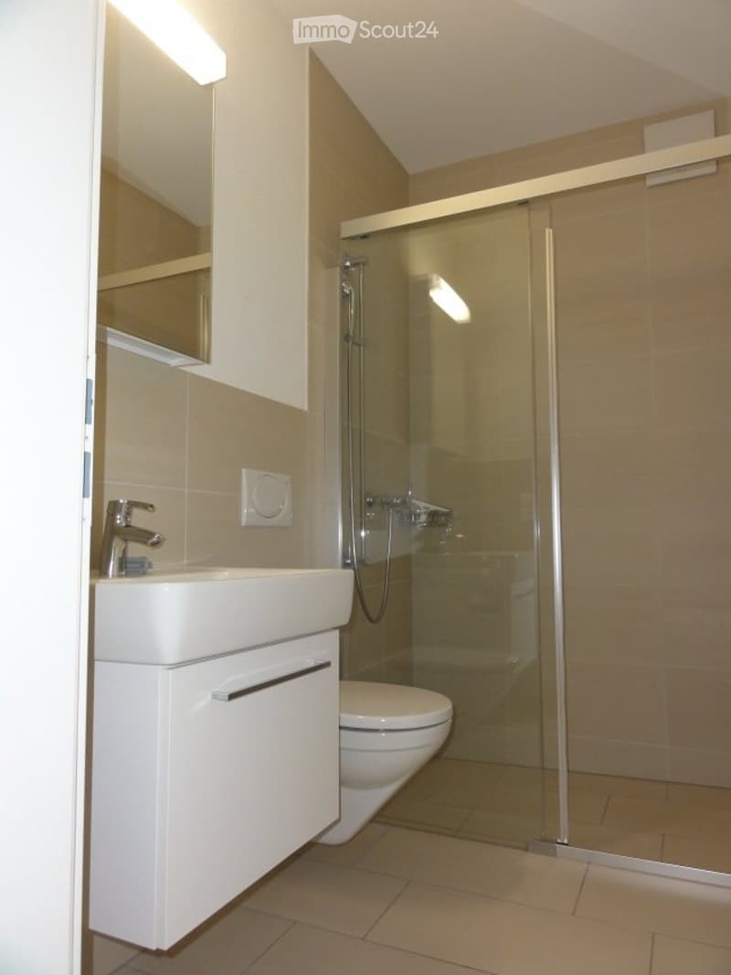 Vermiete schöne 2 Zimmer Wohnung (4)