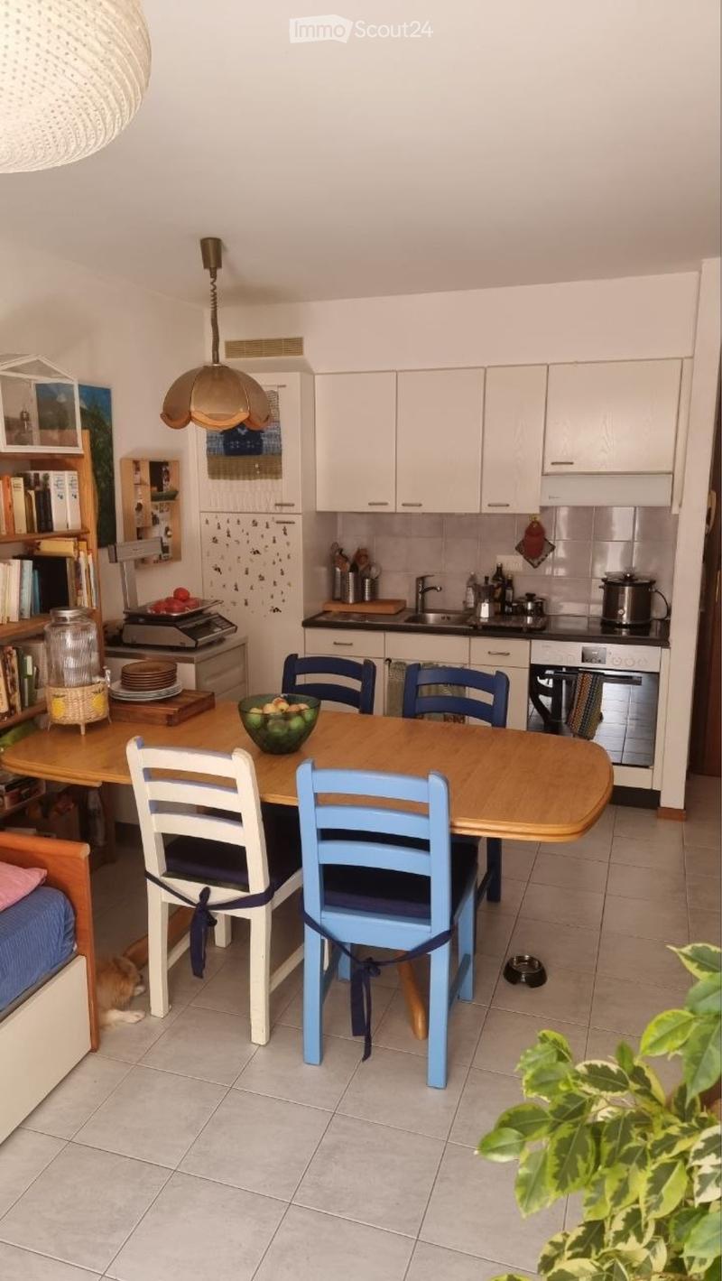 Affittasi appartamento 2.5 locali (1)