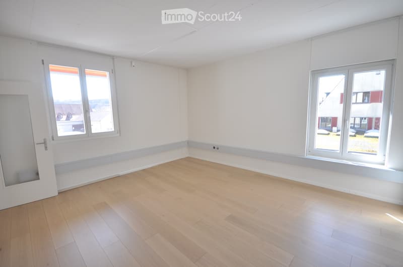 Loft Wohnung zu vermieten (5)