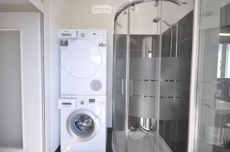 Loft Wohnung zu vermieten (1)