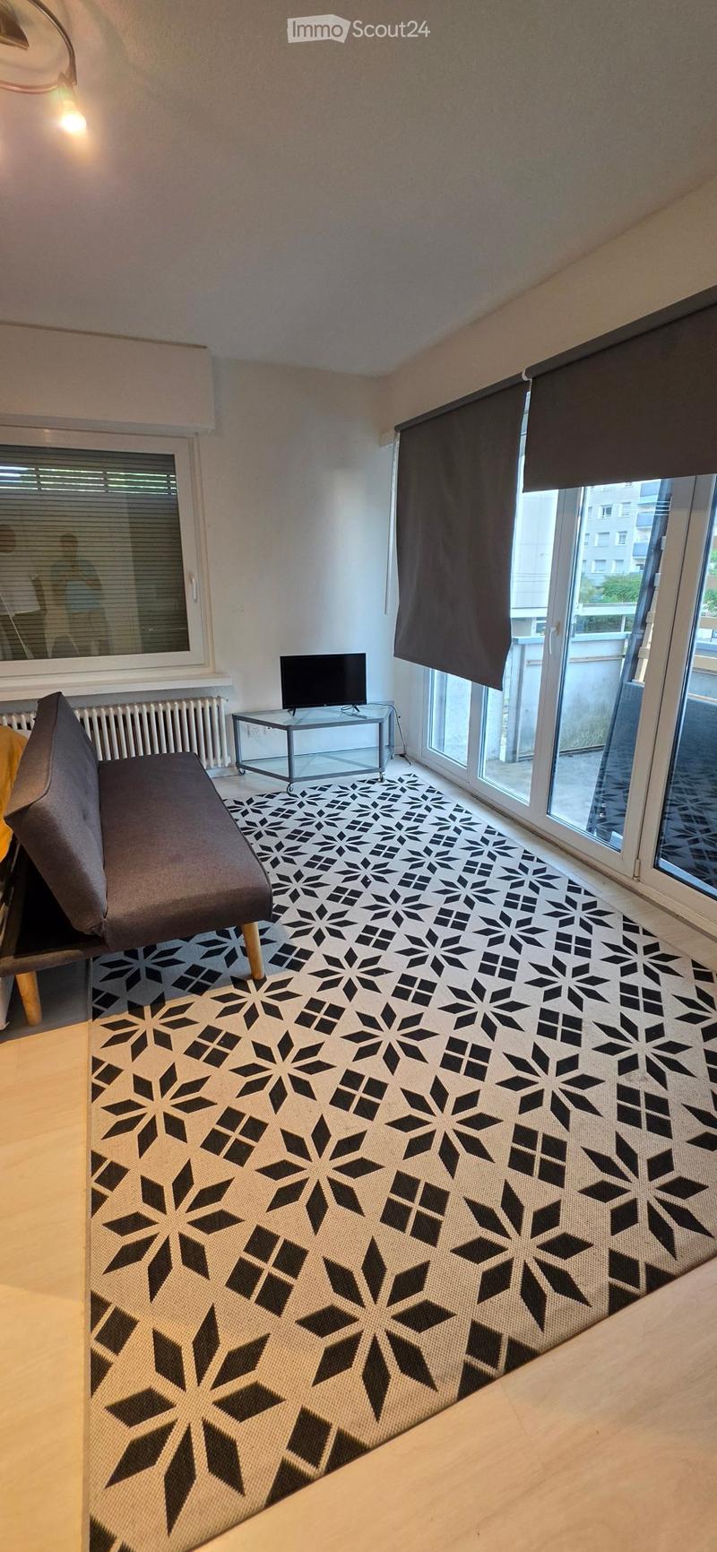 1.5-Zimmer-Apartments in Dietikon (5)