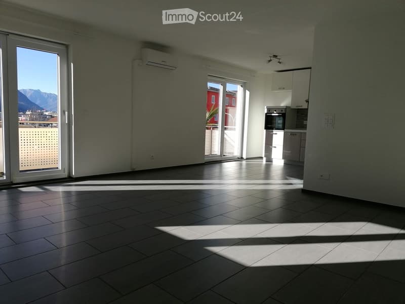 Luminoso appartamento 4.5 locali con giardino comune (2)