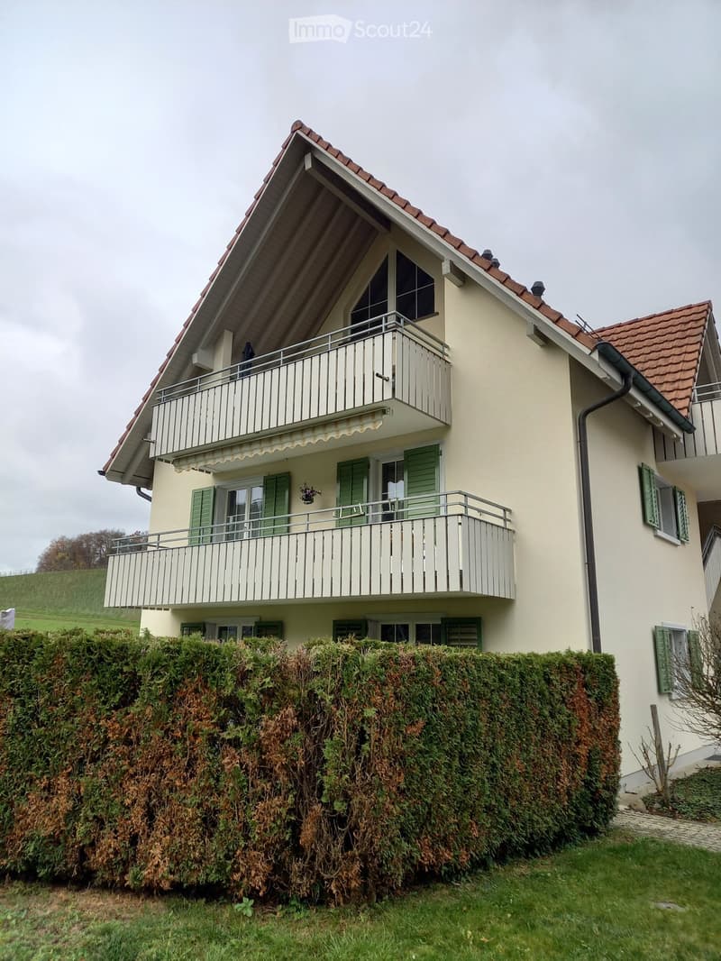 grosszügige Dach-Maisonette-Wohnung mit Balkon (36 m2) (1)