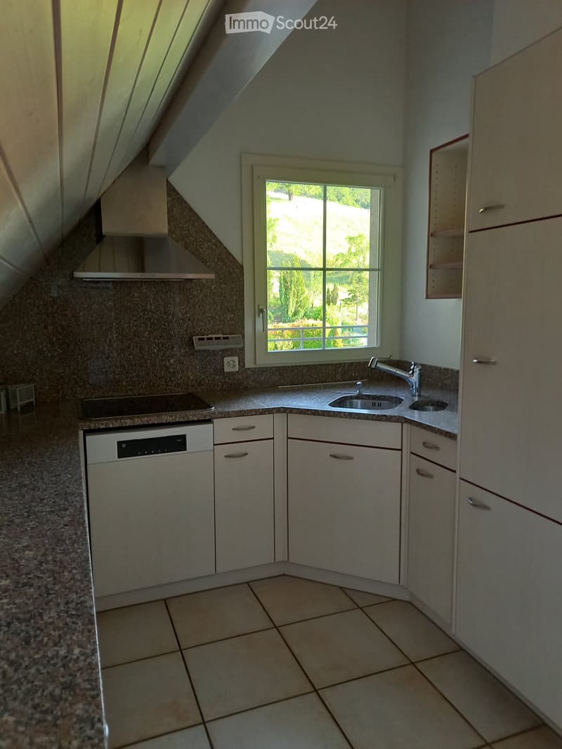 grosszügige Dach-Maisonette-Wohnung mit Balkon (36 m2) (2)