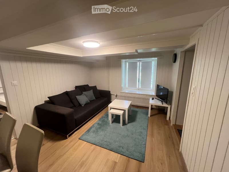 Möbelierte 2.5 Zi. Wohnung zu vermieten (3)
