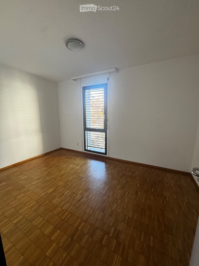 Ampio appartamento a pochi minuti dal centro di Bellinzona (5)