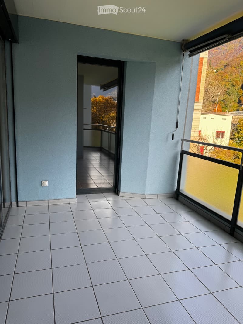 Ampio appartamento a pochi minuti dal centro di Bellinzona (4)