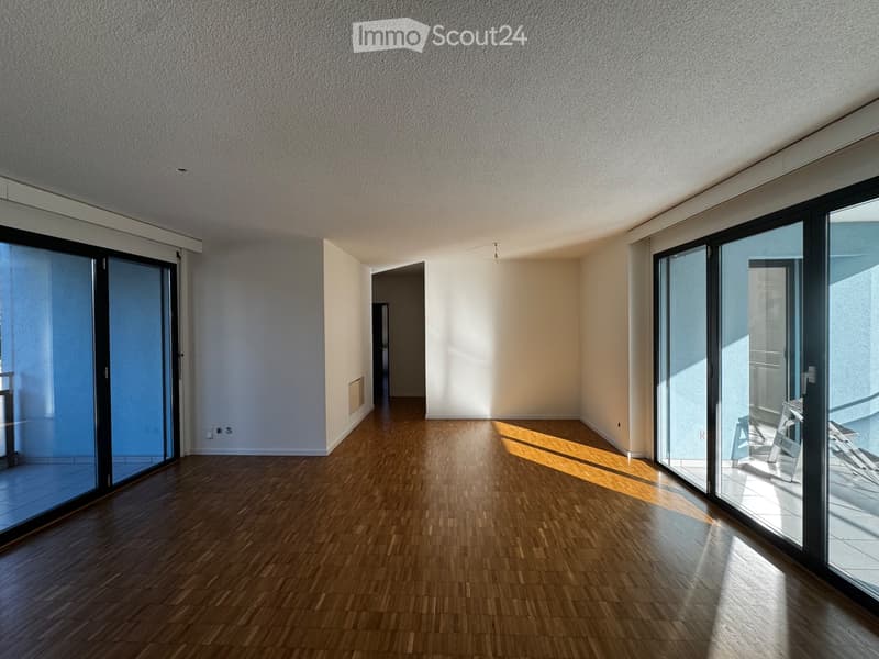 Ampio appartamento a pochi minuti dal centro di Bellinzona (2)