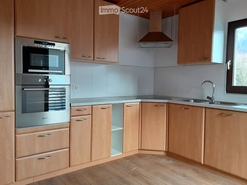 Grosszügige Wohnung im Grünen (3)