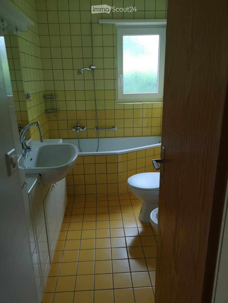 3,5 Zimmer Wohnung zu Vermieten (3)