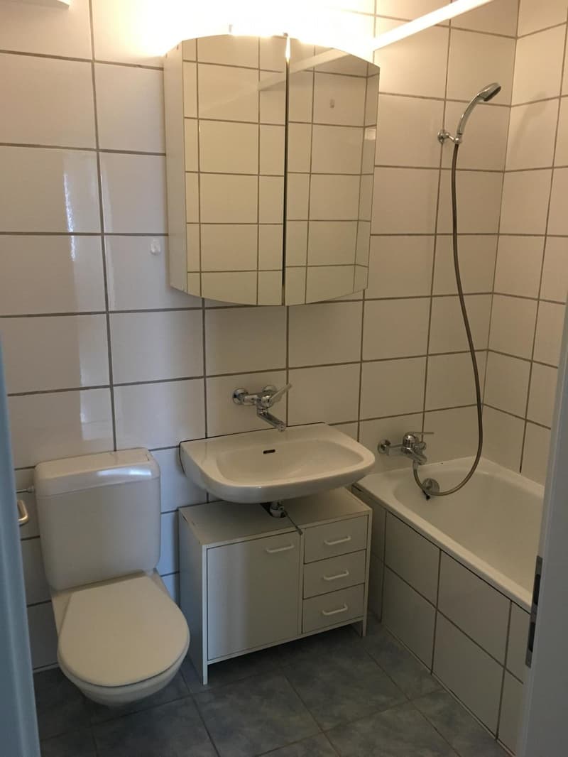 4,5 Zimmer-Wohnung inkl.Parkplatz (3)