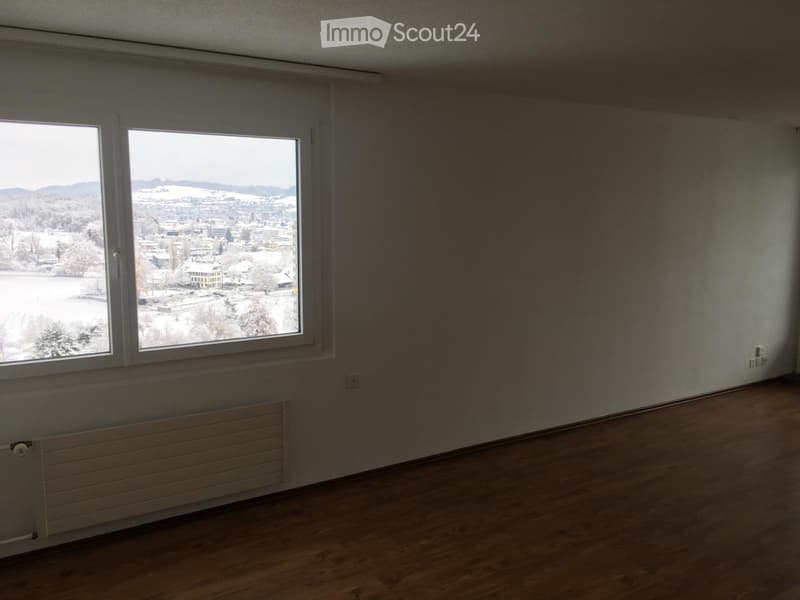 4,5 Zimmer-Wohnung inkl.Parkplatz (5)