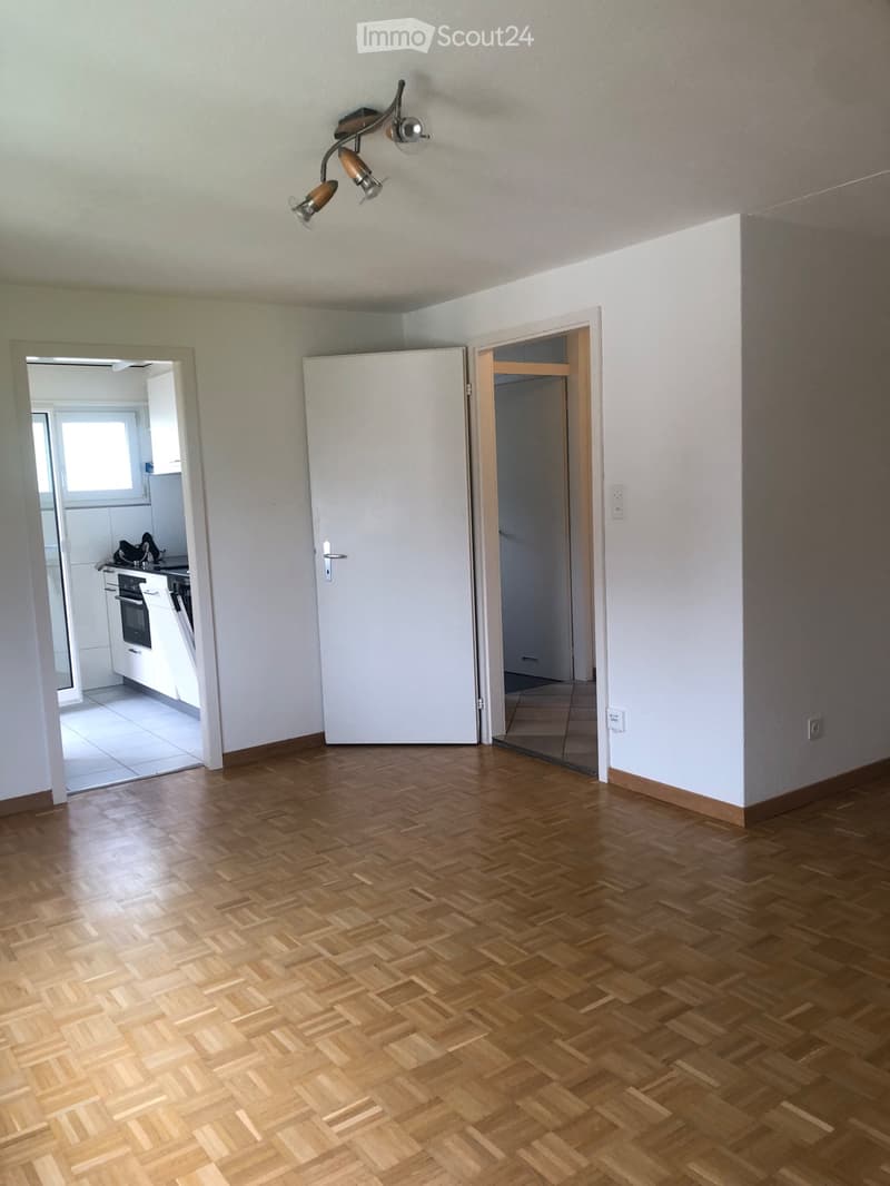 1.5 Zimmerwohnung mit eigenem Gartensitzplatz (4)