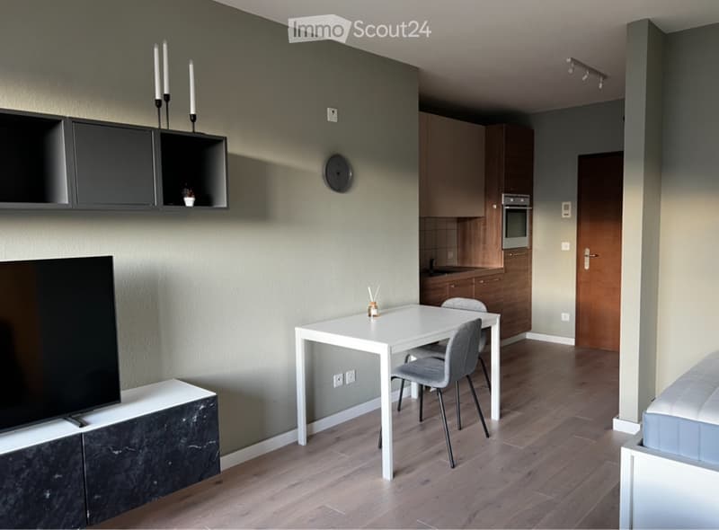 Monolocale Arredato Ready to live (5)