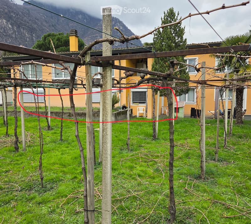 Appartamento Biasca 2.5 (4)