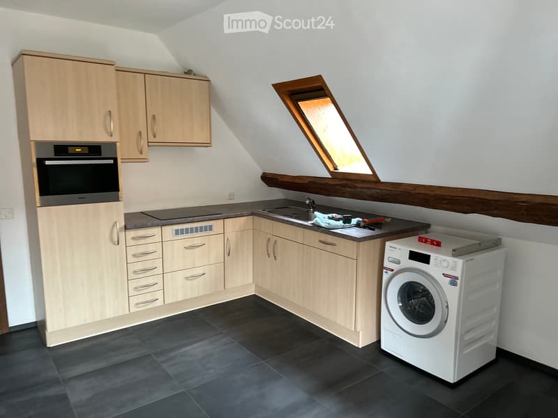 Tolle Altbau Wohnung mit Galerie und grosser Terrasse (4)
