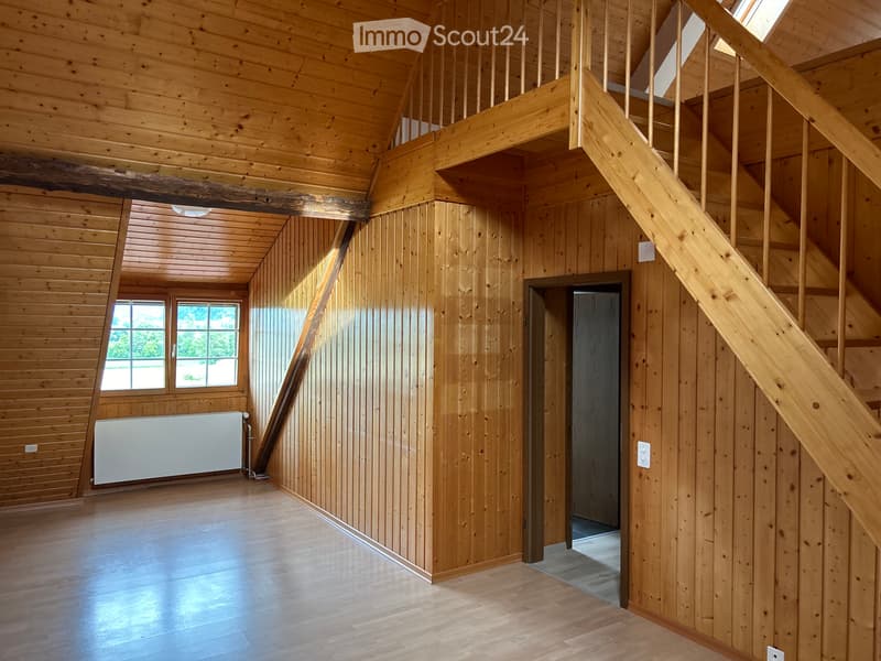 Tolle Altbau Wohnung mit Galerie und grosser Terrasse (3)